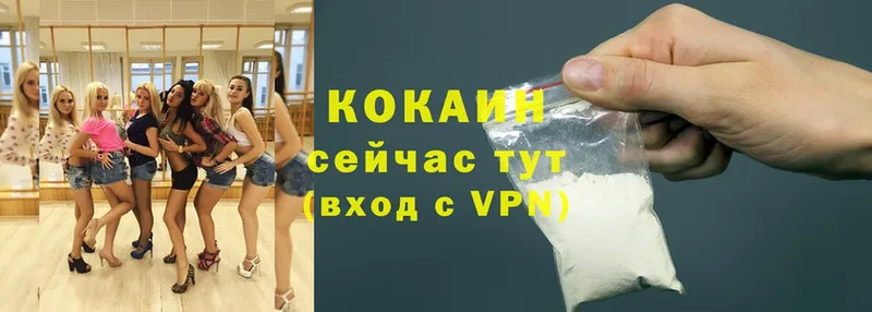 Cocaine Эквадор  даркнет как зайти  Ардон 